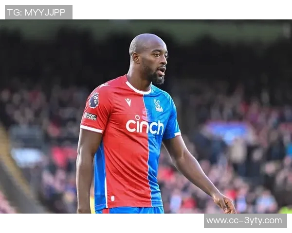 前水晶宫老板遭9700万美元索赔多家俱乐部集团陷入财务危机